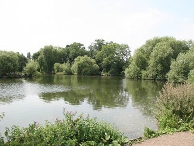 Rochford Reservoir